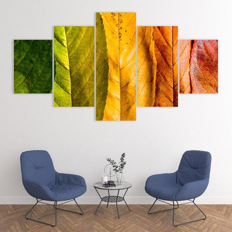 Image of Changing Leaves