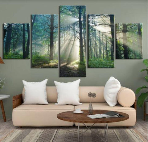 Image of Sunrays Through the Trees