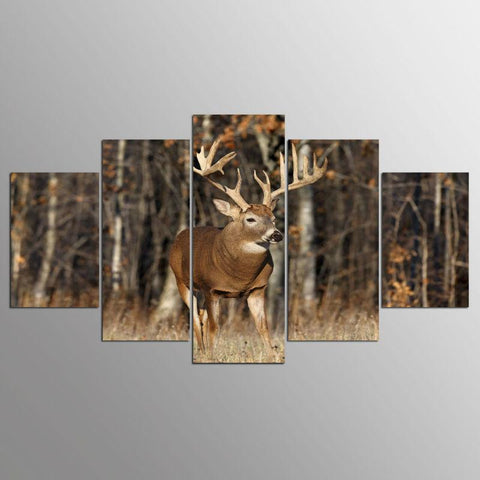 Image of Deer in the Forest