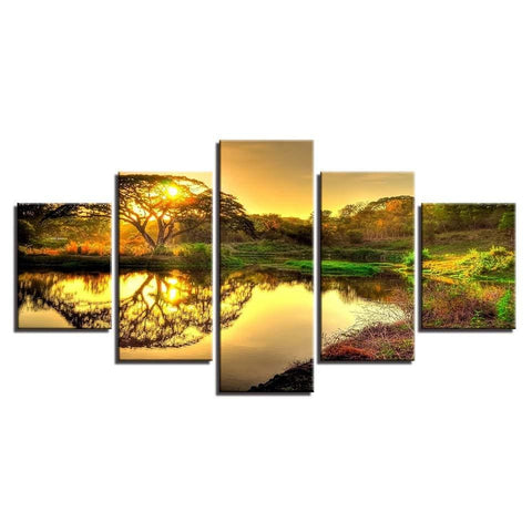 Image of Tree Reflection