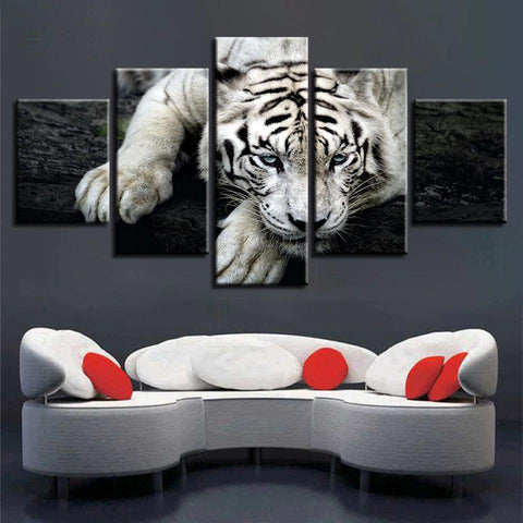 Image of White Tiger