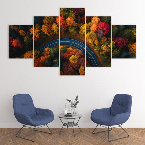 Image of Vibrant Fall Colors