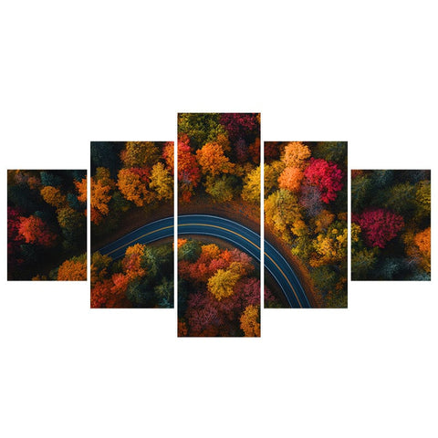 Image of Vibrant Fall Colors