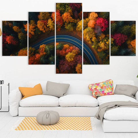 Image of Vibrant Fall Colors
