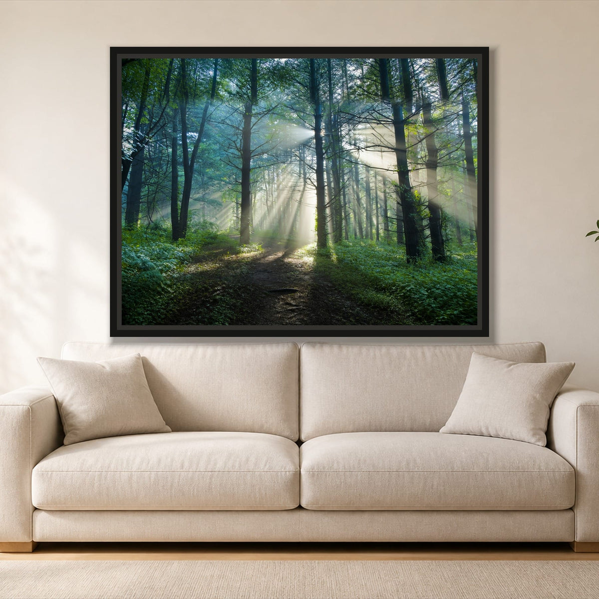 Sunrays Through the Trees single panel canvas in a black floating frame