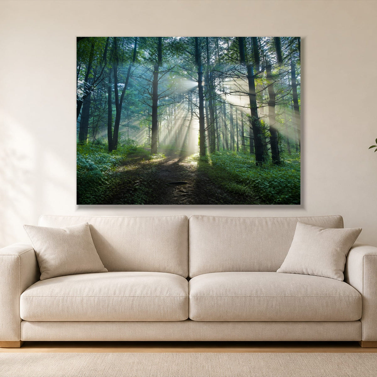 Sunrays Through the Trees single panel canvas, gallery wrap, hung above a sofa