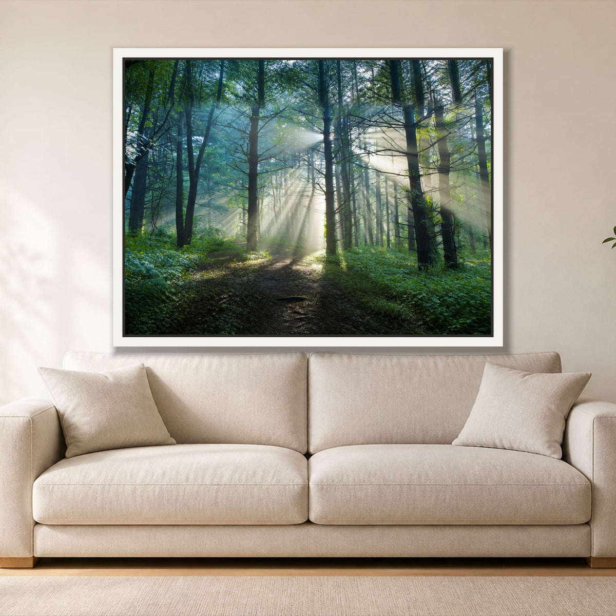 Sunrays Through the Trees single panel canvas in a white floating frame