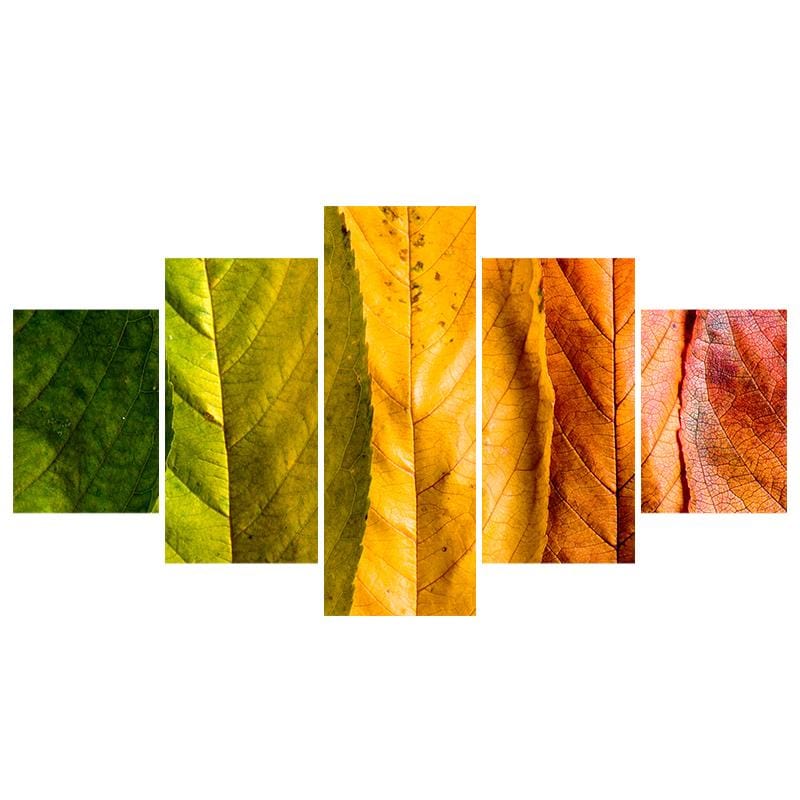 Changing Leaves