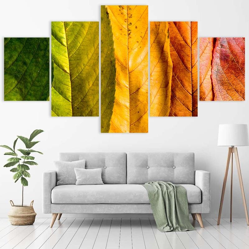 Changing Leaves