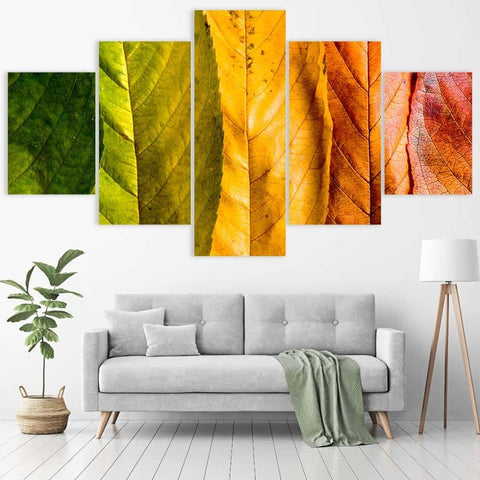Image of Changing Leaves