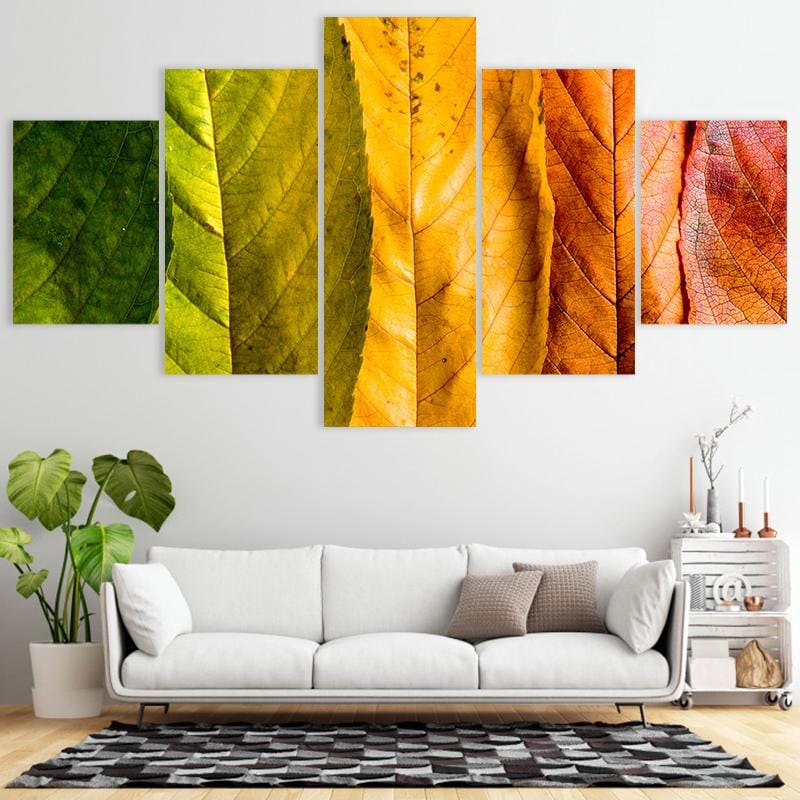 Changing Leaves