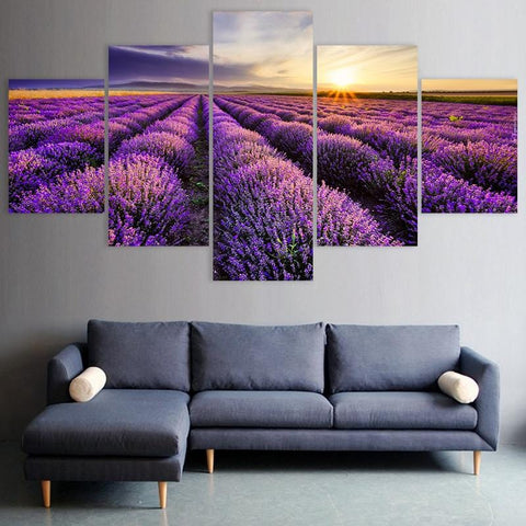 Image of Lavender Field