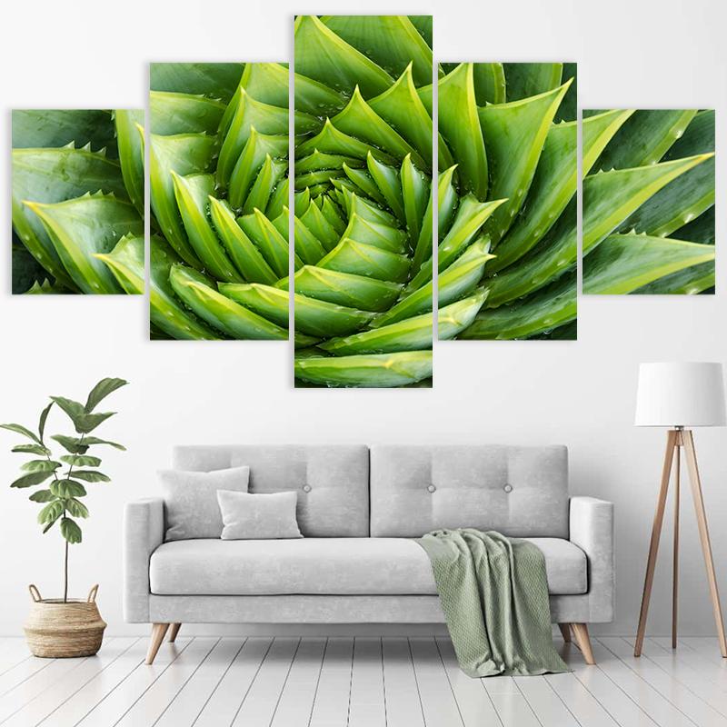 Spiral Green Plant