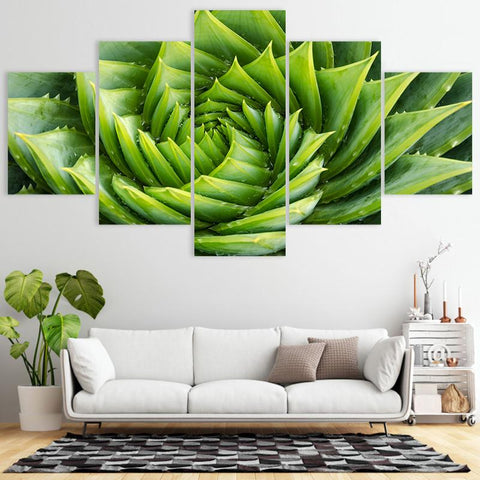 Image of Spiral Green Plant