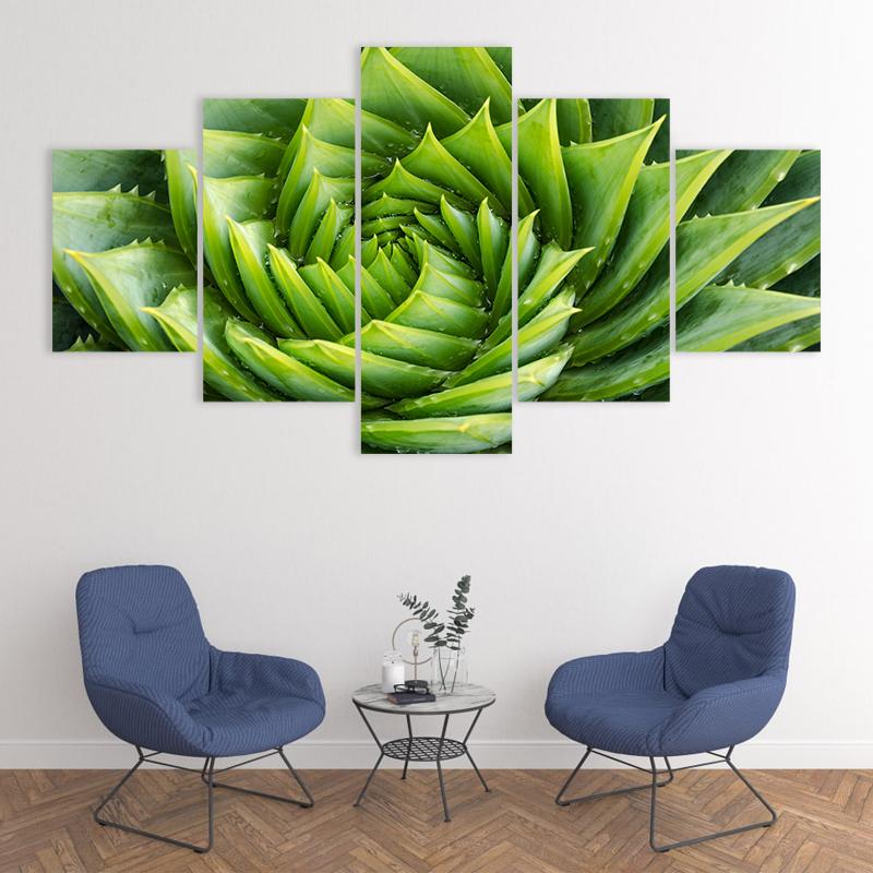 Spiral Green Plant