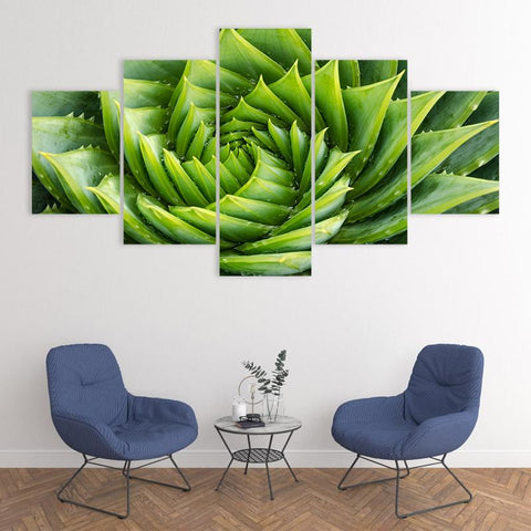 Image of Spiral Green Plant