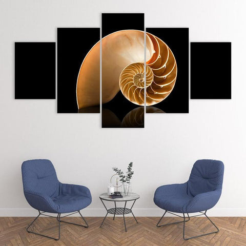 Image of Spiral Shell