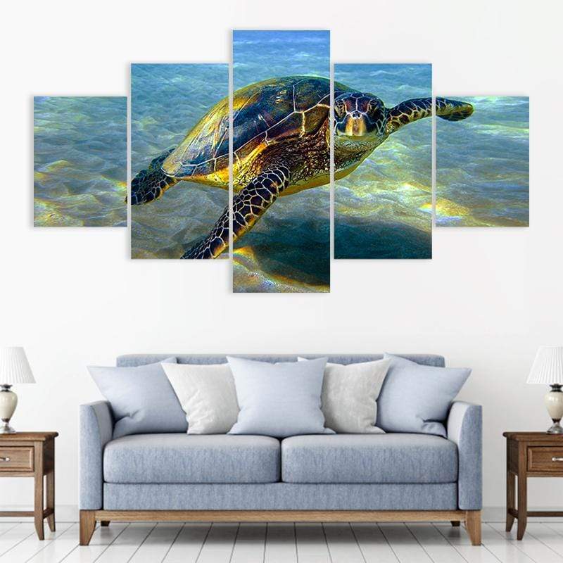 Tropical Turtle