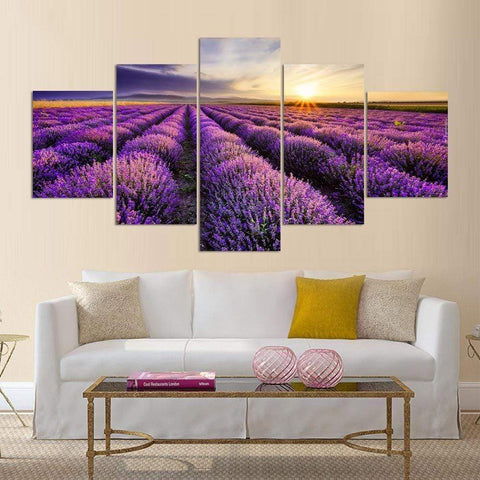 Image of Lavender Field