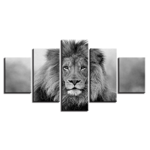Image of Black and White Lion