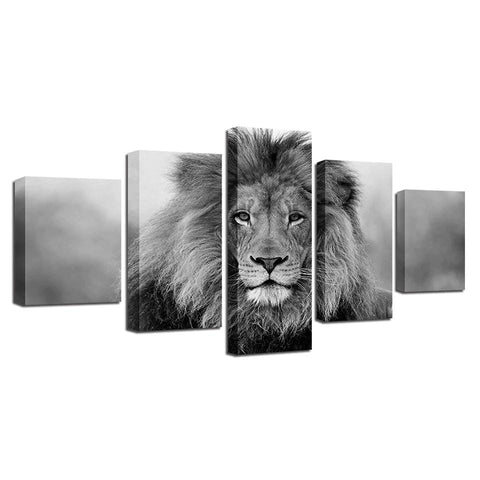 Image of Black and White Lion