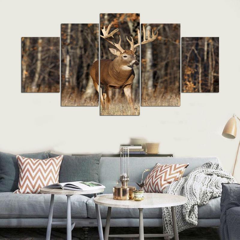 Deer in the Forest