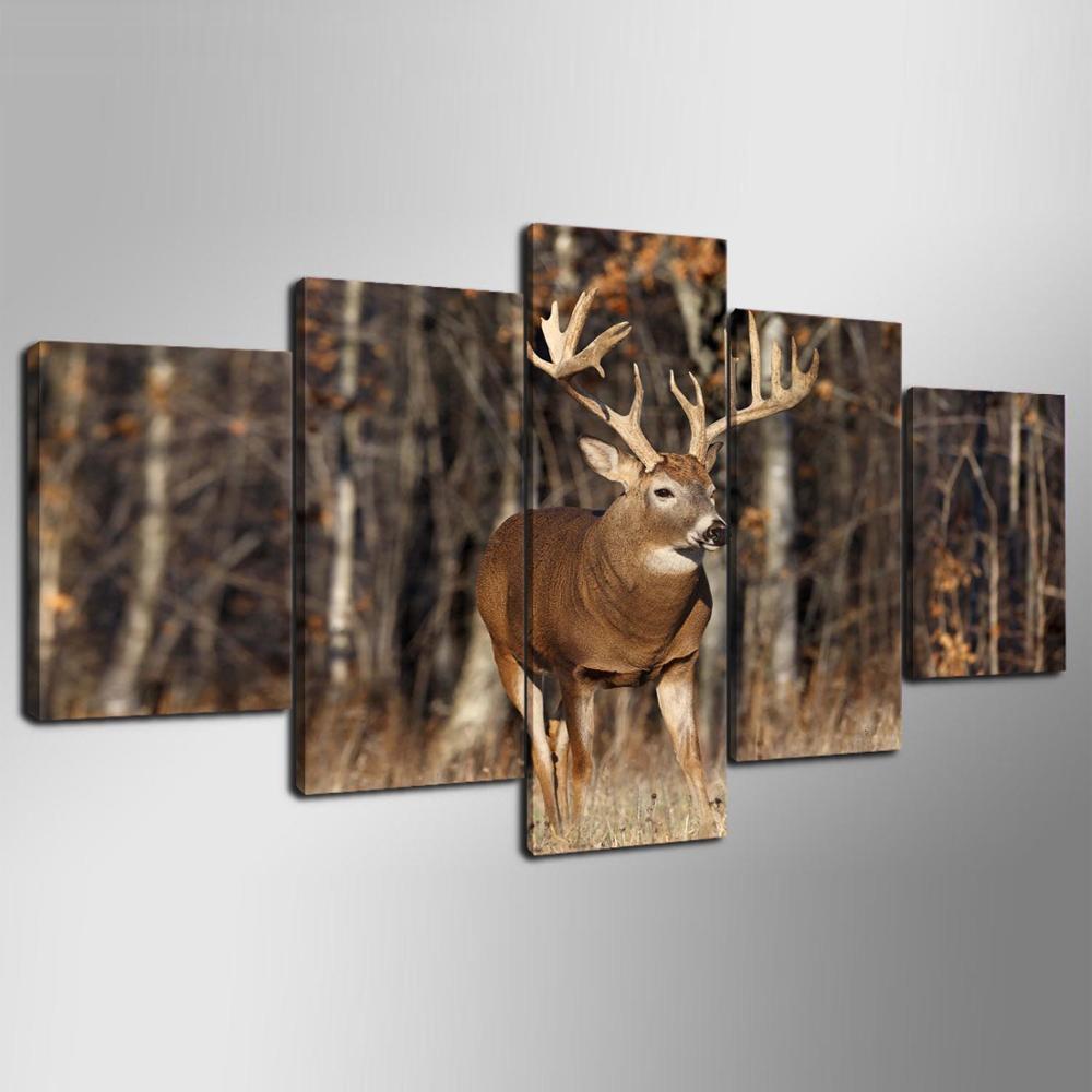 Deer in the Forest