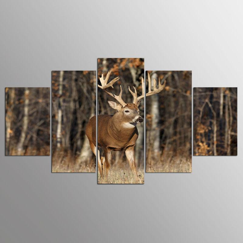 Deer in the Forest