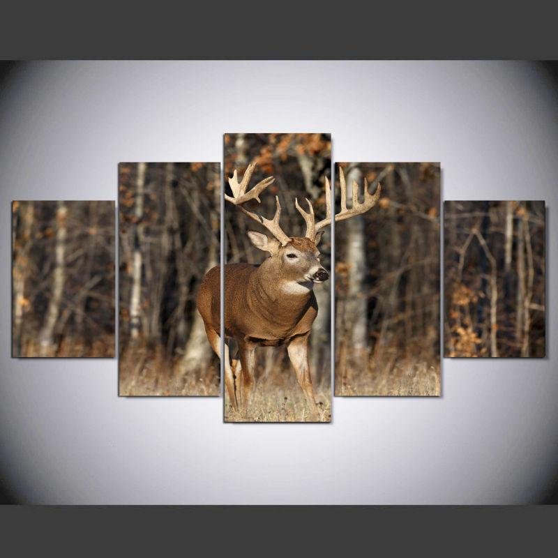 Deer in the Forest
