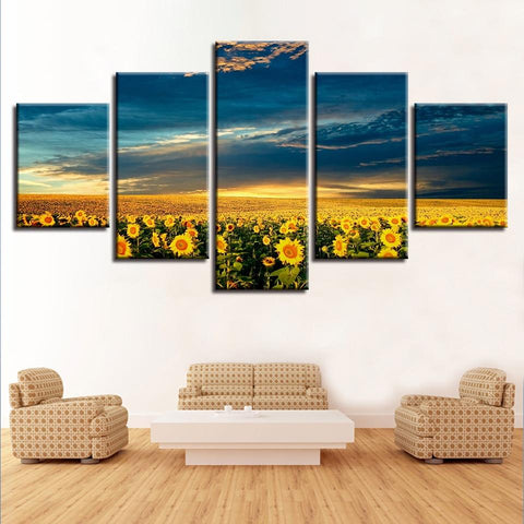 Image of Field of Sunflowers