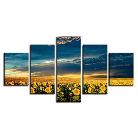 Image of Field of Sunflowers