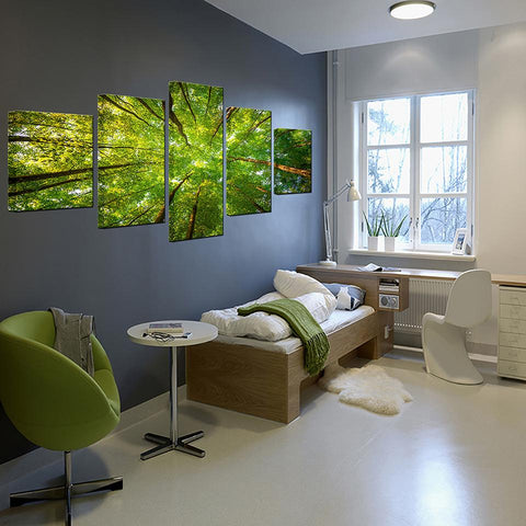 Image of Forest Sunshine