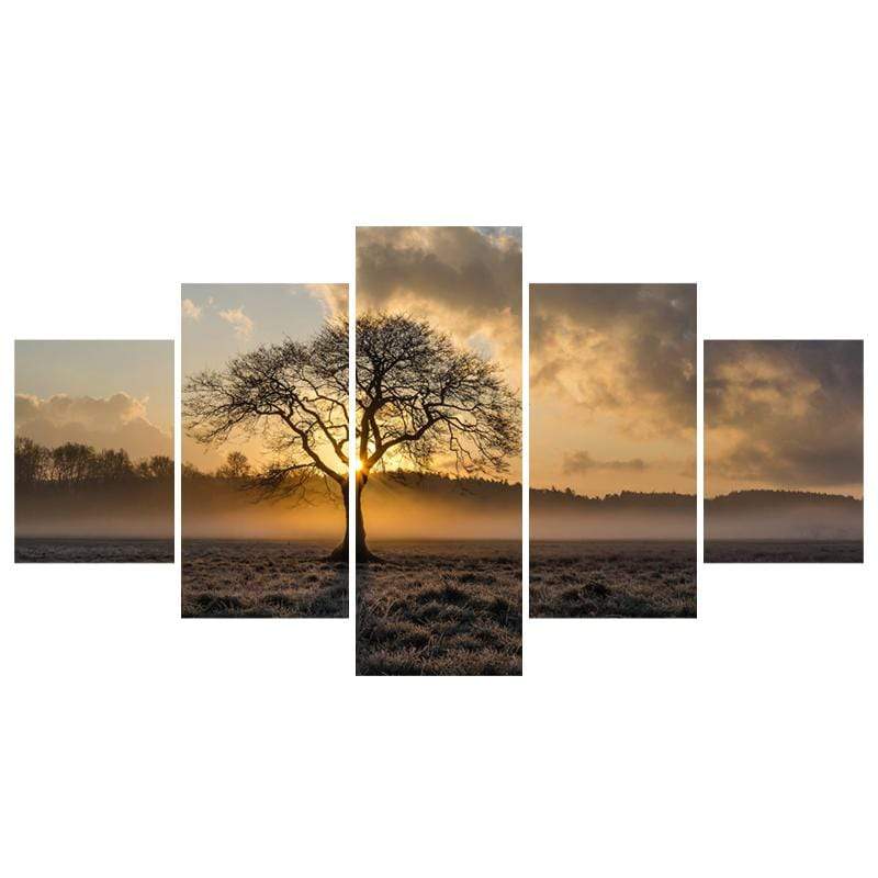 Sunrise Tree