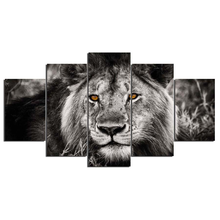 The King of the Jungle
