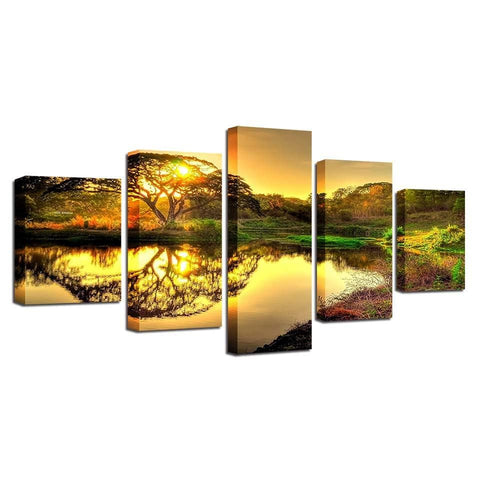 Image of Tree Reflection