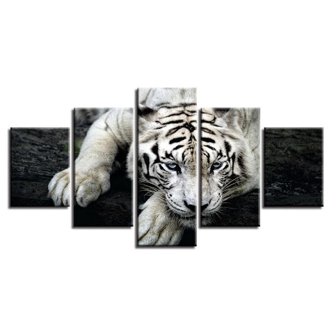 Image of White Tiger